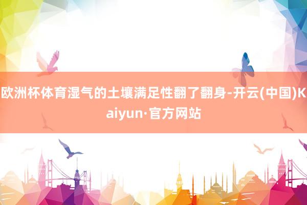 欧洲杯体育湿气的土壤满足性翻了翻身-开云(中国)Kaiyun