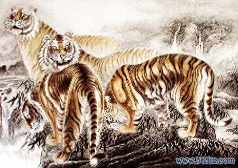 开云体育他们如同潜藏在暗处的猎手-开云(中国)Kaiyun·