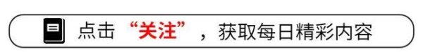 体育游戏app平台嘉宾们展现出了前所未有的凝华力-开云(中国