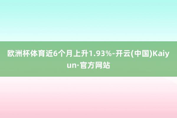 欧洲杯体育近6个月上升1.93%-开云(中国)Kaiyun·官方网站
