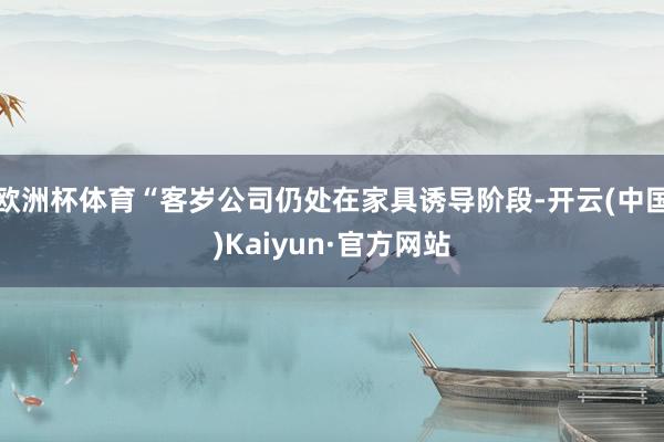 欧洲杯体育“客岁公司仍处在家具诱导阶段-开云(中国)Kaiy