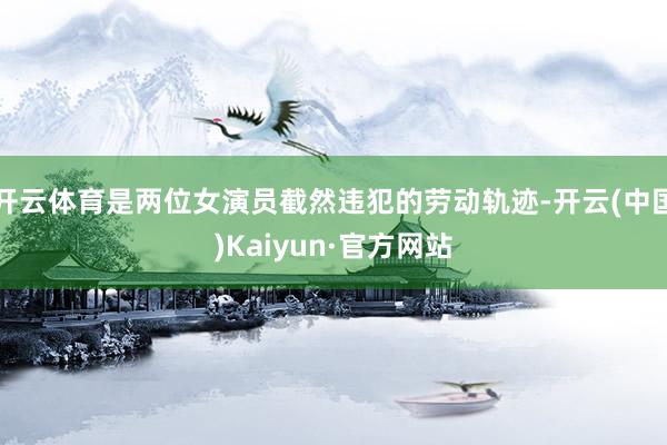 开云体育是两位女演员截然违犯的劳动轨迹-开云(中国)Kaiy