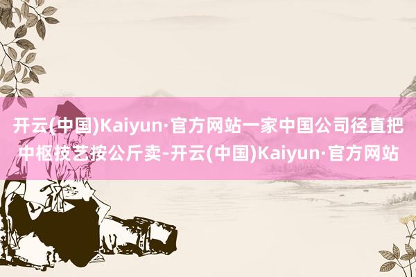 开云(中国)Kaiyun·官方网站一家中国公司径直把中枢技艺