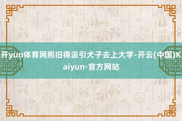 开yun体育网照旧得汲引犬子去上大学-开云(中国)Kaiyun·官方网站