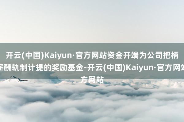 开云(中国)Kaiyun·官方网站资金开端为公司把柄薪酬轨制