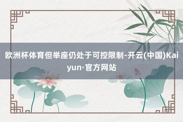 欧洲杯体育但举座仍处于可控限制-开云(中国)Kaiyun·官方网站
