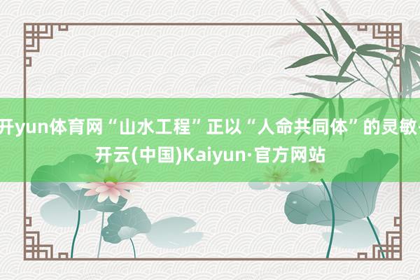 开yun体育网“山水工程”正以“人命共同体”的灵敏-开云(中